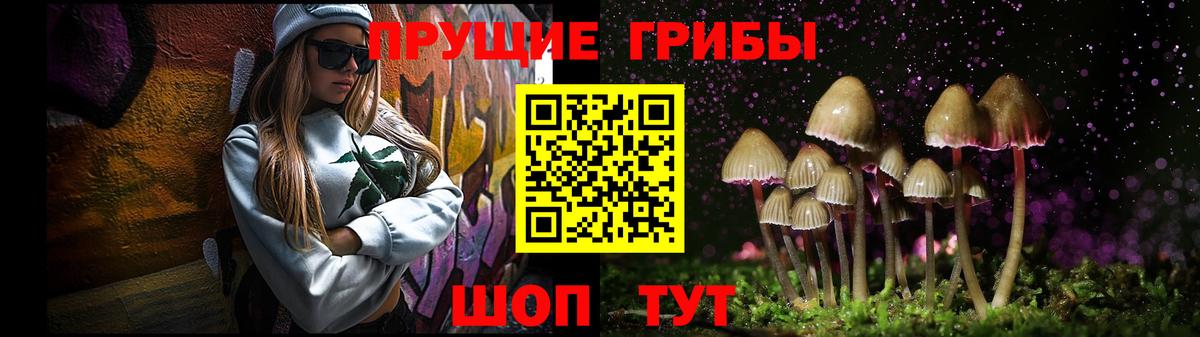 Йошкар-Ола  Галлюциногенные грибы мицелий  Вход с VPN 
